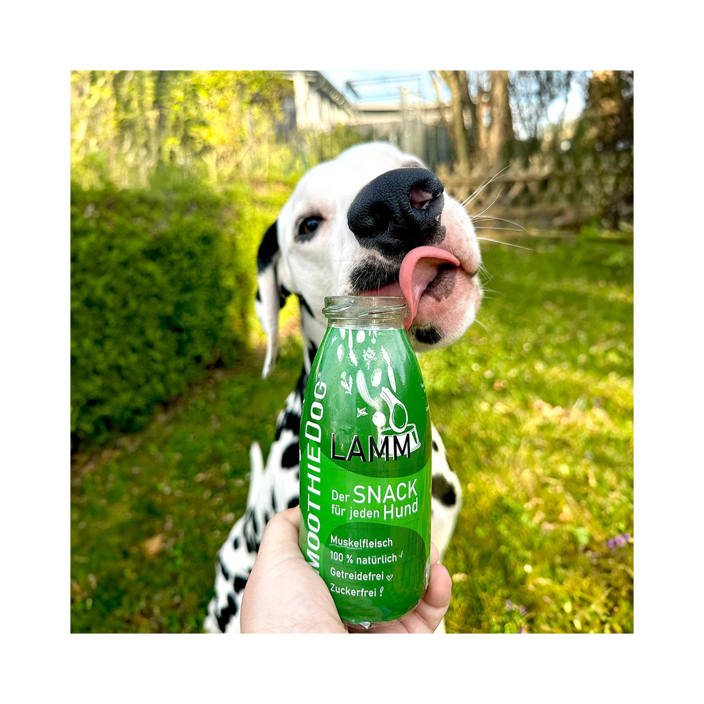 SmoothieDog Lamm – 100 % natürliche Zutaten für Hunde