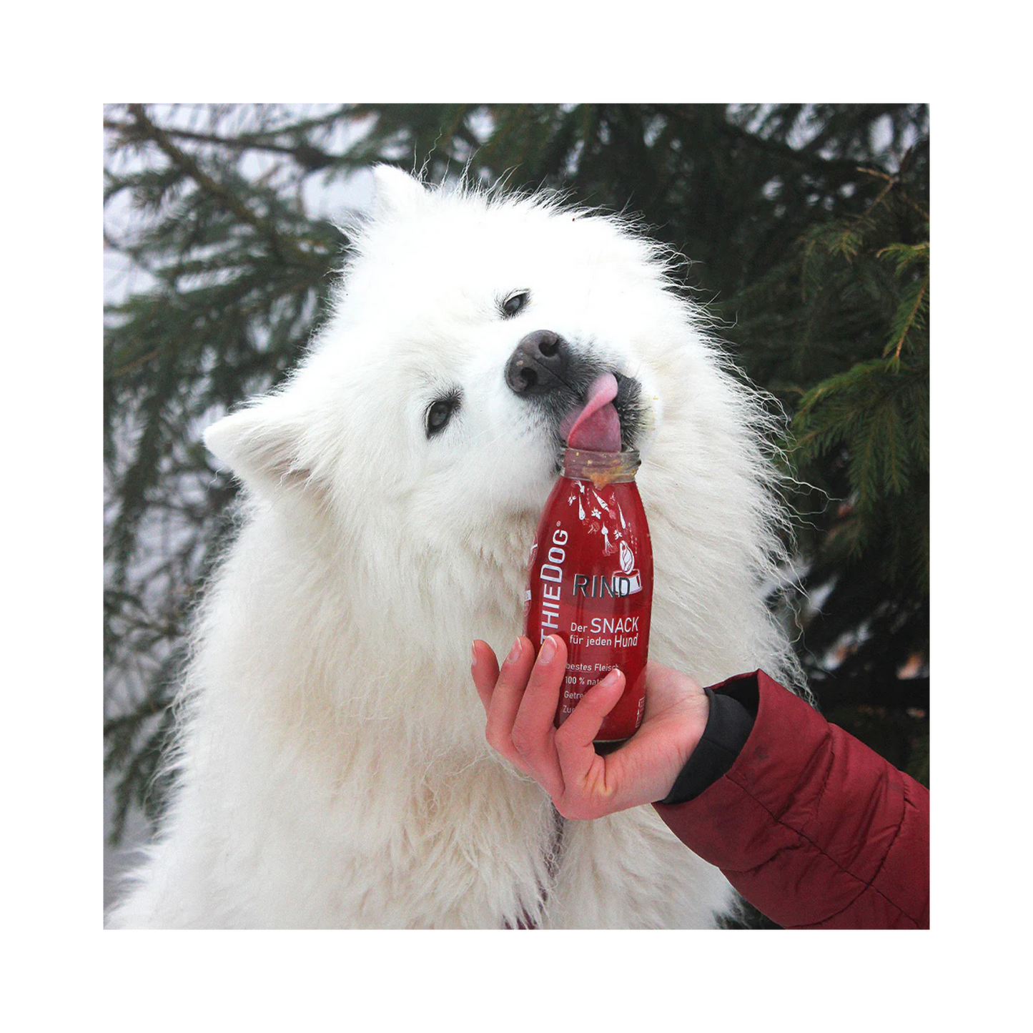 SmoothieDog Rind – 100 % natürliche Zutaten für Hunde