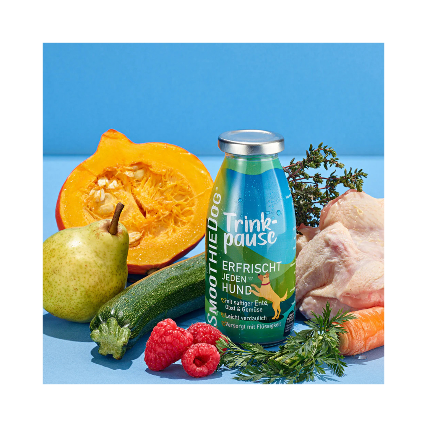 SmoothieDog Trinkpause – Ente