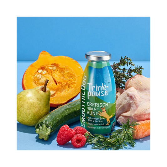 SmoothieDog Trinkpause – Ente