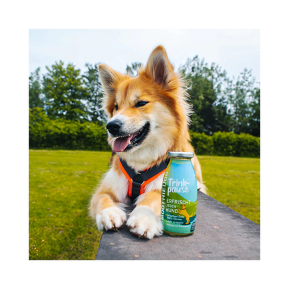 SmoothieDog Trinkpause – Ente