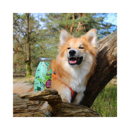 SmoothieDog Gemüsebeet – Veggie