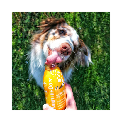 SmoothieDog Huhn – 100 % natürliche Zutaten für Hunde