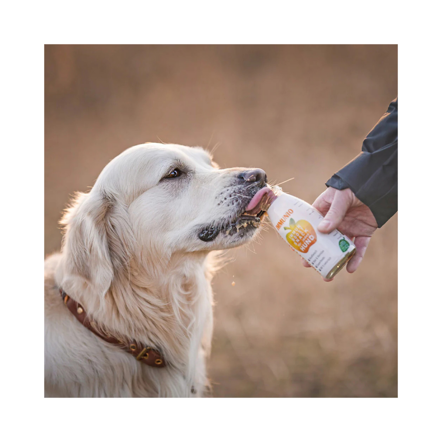 SmoothieDog IMMUNIO – Rind