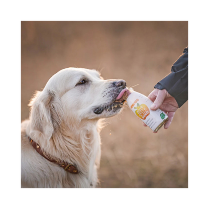SmoothieDog IMMUNIO – Rind