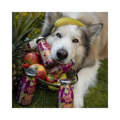 SmoothieDog Obstkorb – Fruchtige Vielfalt für Hunde