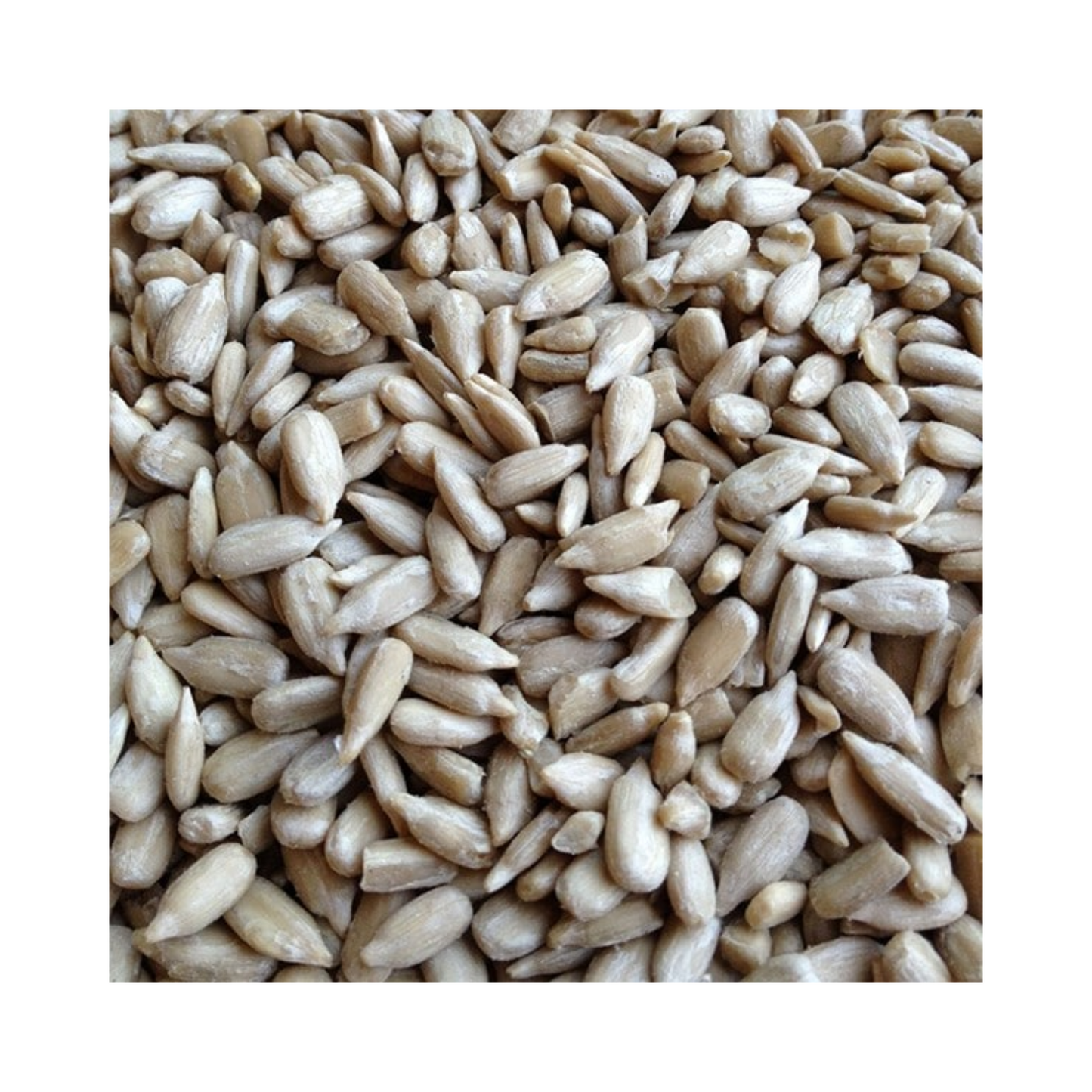 De Hun’nenhoff | Sonnenblumenkerne geschält – 22,68 kg – Schalenfreier Premium-Snack für Wildvögel in Speisequalität