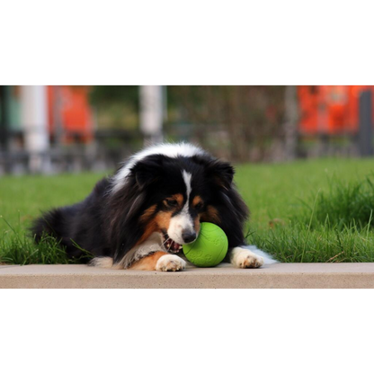 Spiel, Snack & Spaß – der Snackball für glückliche, aktive Hunde!