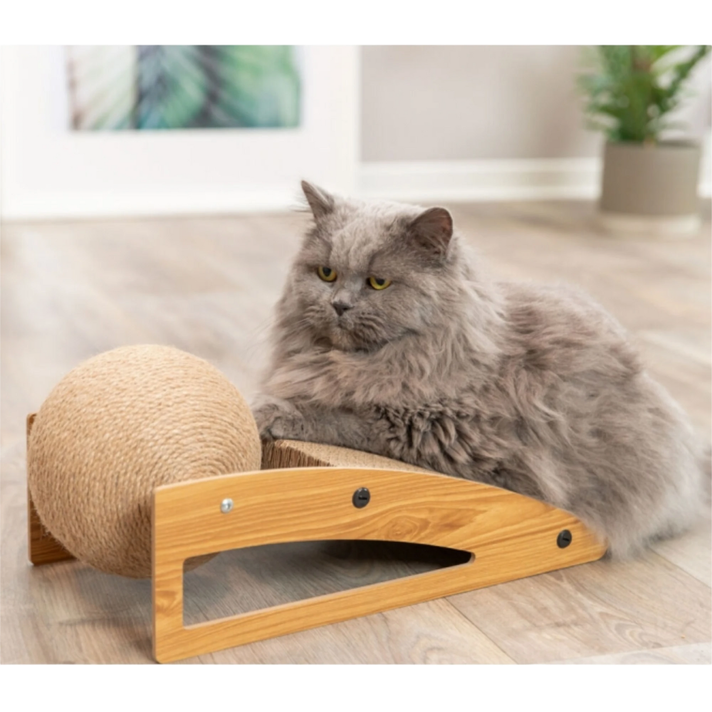 TRIXIE Kratzrampe mit großem Juteball & Catnip – Spiel- und Kratzspaß für Katzen