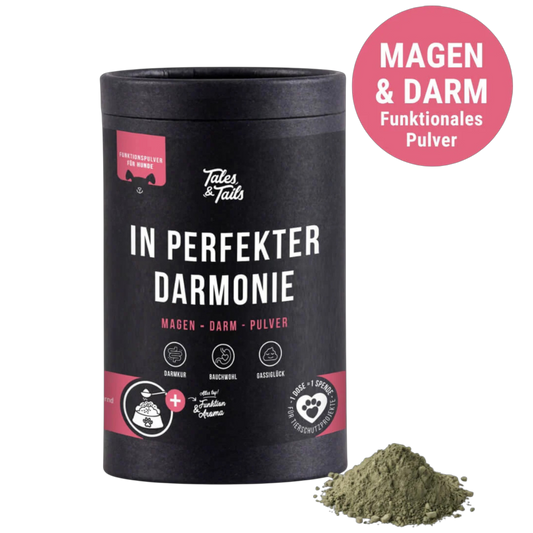 Tales & Tails Dog - In perfekter Darmonie