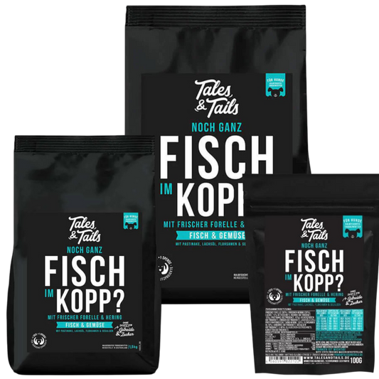 Tales & Tails Dog – Noch ganz Fisch im Kopp