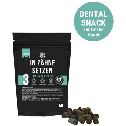 Tales & Tails Dog – In Zähne setzen