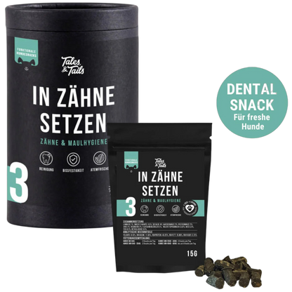 Tales & Tails Dog – In Zähne setzen