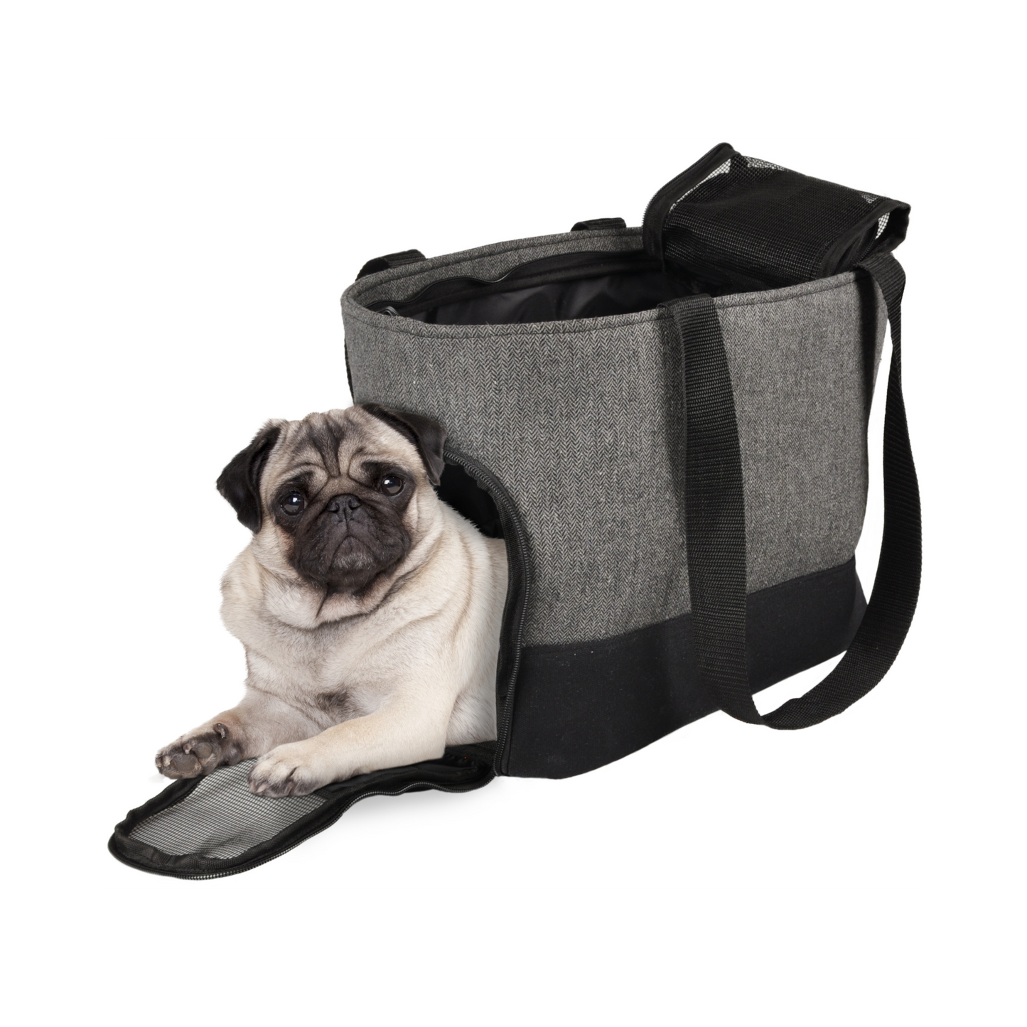 Tragetasche Brigitta – Praktisch, bequem & sicher bis 5 kg