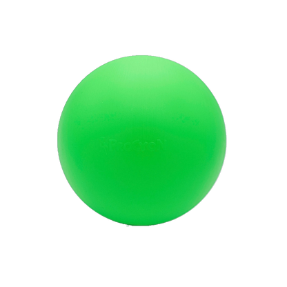 Treibball – Spiel, Sport und Köpfchen im kompakten Format