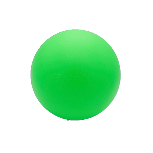 Treibball – Spiel, Sport und Köpfchen im kompakten Format