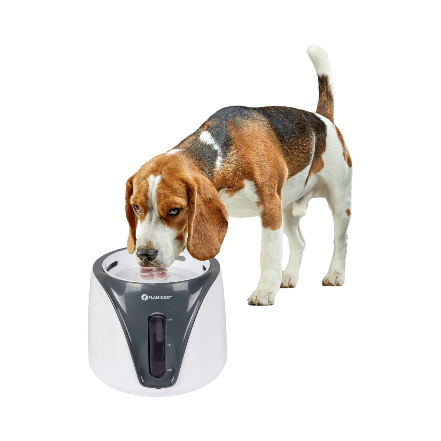 Trinkbrunnen Adriana – Frische Hydration für Katzen und Hunde