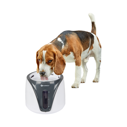 Trinkbrunnen Adriana – Frische Hydration für Katzen und Hunde