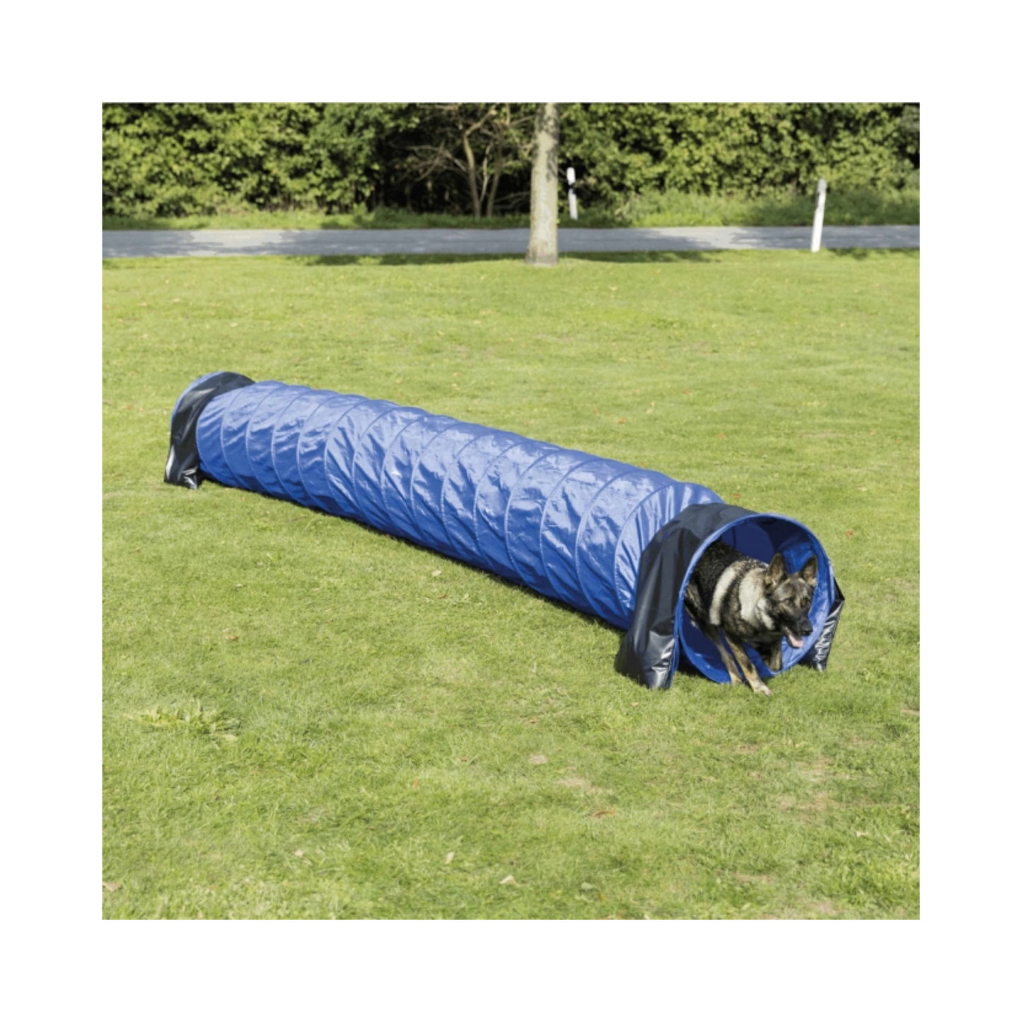 Trixie Agility Tunnel – Bewegung mit Spaß für sportliche Vierbeiner