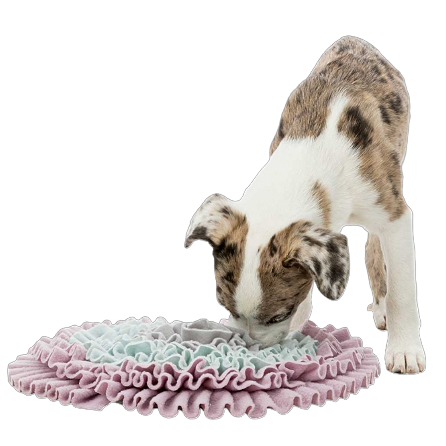 Trixie Junior Schnüffelteppich – Intelligenzspielzeug für Welpen mit Anti-Schling-Funktion