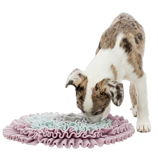 Trixie Junior Schnüffelteppich – Intelligenzspielzeug für Welpen mit Anti-Schling-Funktion