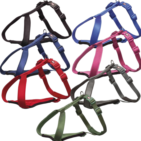 Trixie Premium Y-Geschirr – Komfort & Sicherheit für deinen Vierbeiner
