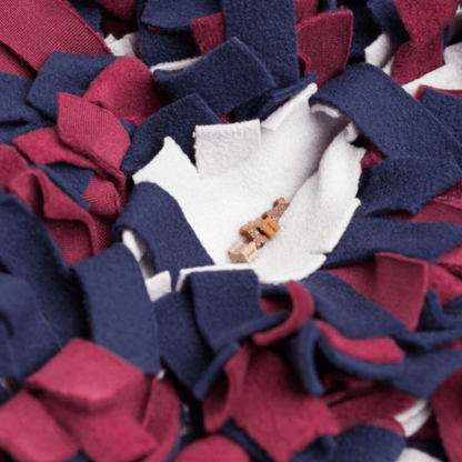 Trixie Schnüffelteppich Strategie-Spiel – interaktive Nasenarbeit für mehr Konzentration & Spaß