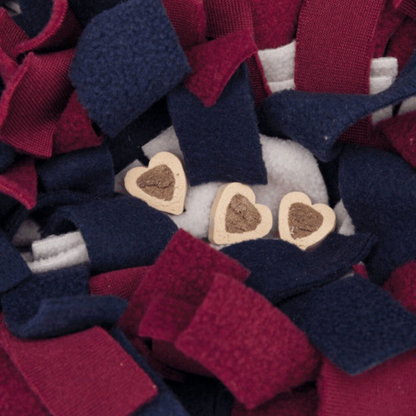 Trixie Schnüffelteppich Strategie-Spiel – interaktive Nasenarbeit für mehr Konzentration & Spaß