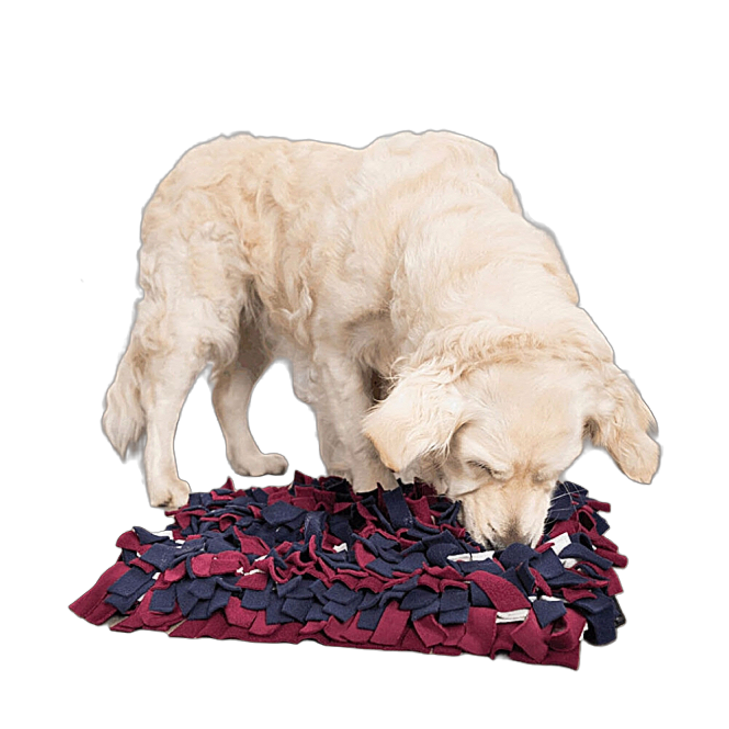 Trixie Schnüffelteppich Strategie-Spiel – interaktive Nasenarbeit für mehr Konzentration & Spaß