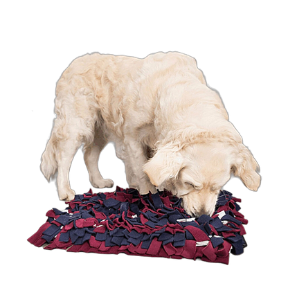 Trixie Schnüffelteppich Strategie-Spiel – interaktive Nasenarbeit für mehr Konzentration & Spaß