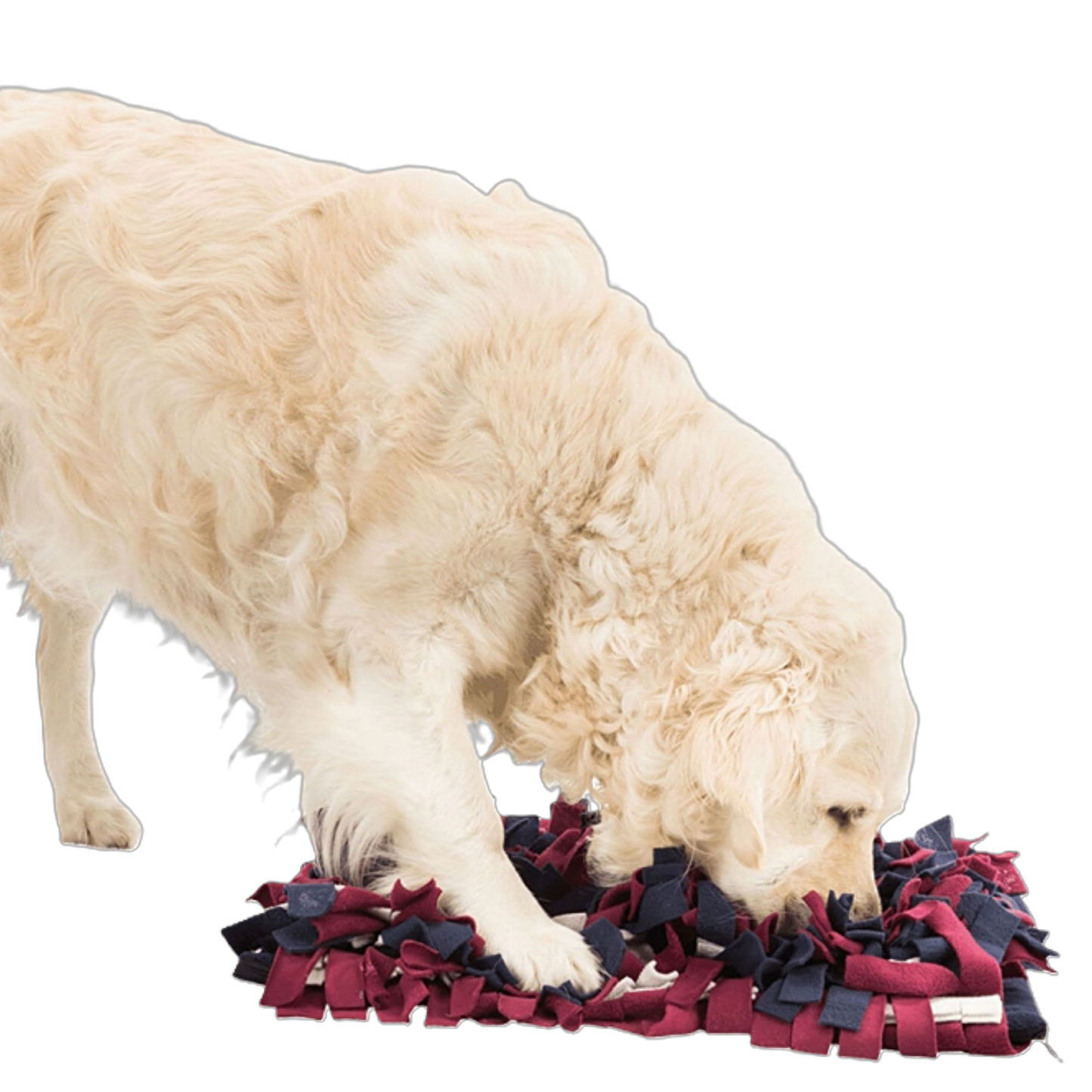 Trixie Schnüffelteppich Strategie-Spiel – interaktive Nasenarbeit für mehr Konzentration & Spaß