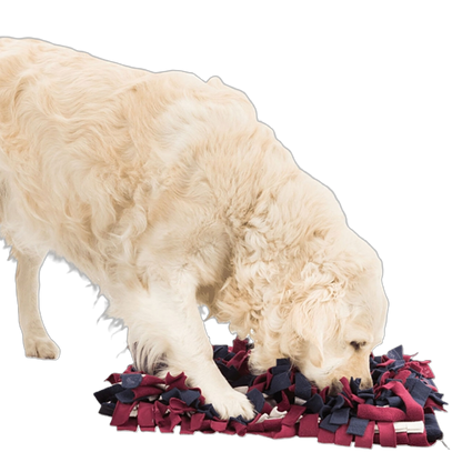 Trixie Schnüffelteppich Strategie-Spiel – interaktive Nasenarbeit für mehr Konzentration & Spaß