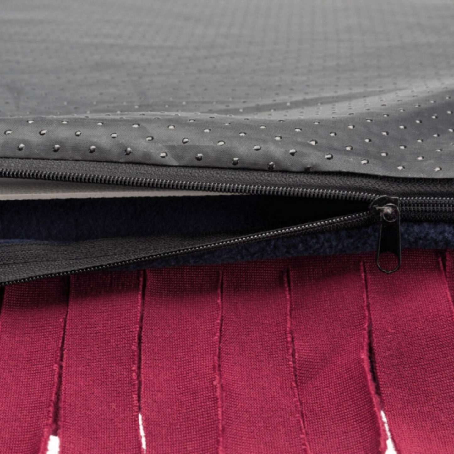 Trixie Schnüffelteppich Strategie-Spiel – interaktive Nasenarbeit für mehr Konzentration & Spaß