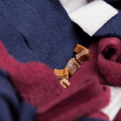 Trixie Schnüffelteppich Strategie-Spiel – interaktive Nasenarbeit für mehr Konzentration & Spaß