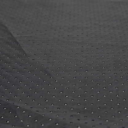 Trixie Schnüffelteppich Strategie-Spiel – interaktive Nasenarbeit für mehr Konzentration & Spaß