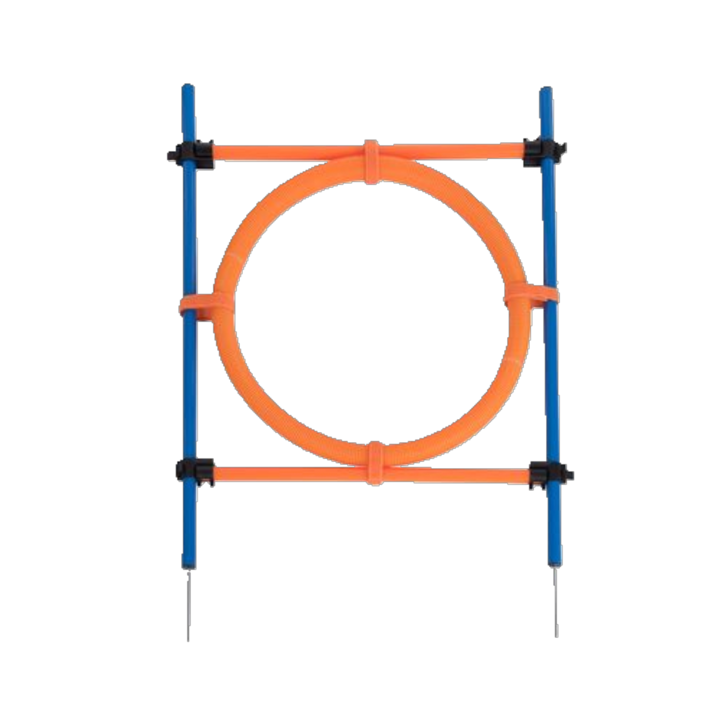 Trixie Agility Ring – Verstellbarer Sprungreifen für aktives Hundetraining