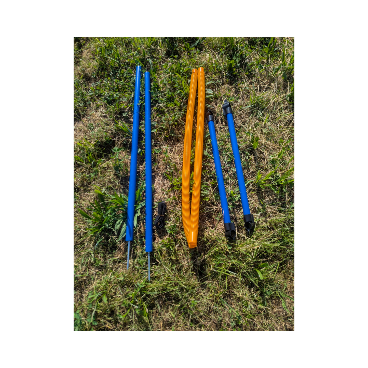 Trixie Agility Ring – Verstellbarer Sprungreifen für aktives Hundetraining
