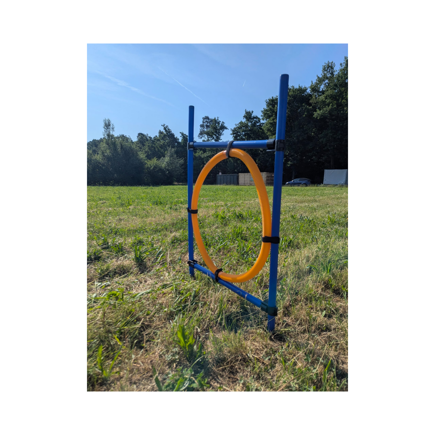 Trixie Agility Ring – Verstellbarer Sprungreifen für aktives Hundetraining