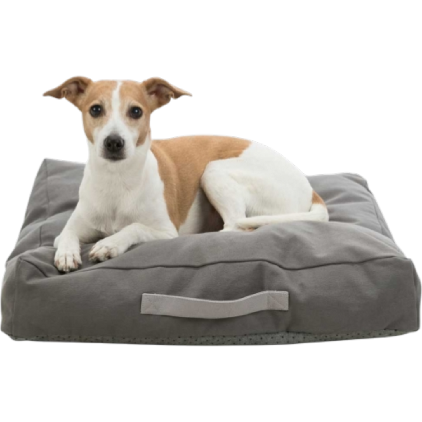Trixie – BE ECO Kissen Danilo