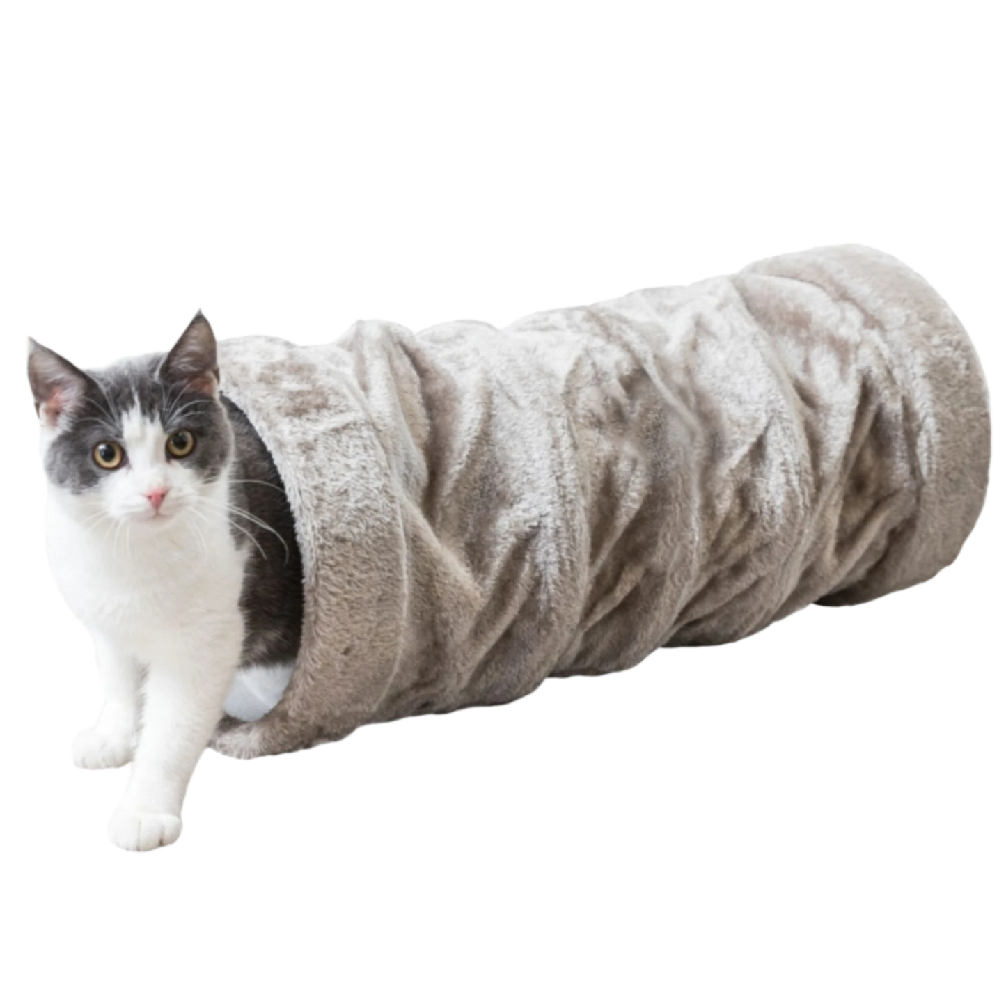 Trixie Crunch Plüschtunnel – Der perfekte Spiel- und Rückzugsort für Ihre Katze oder Ihren Welpen