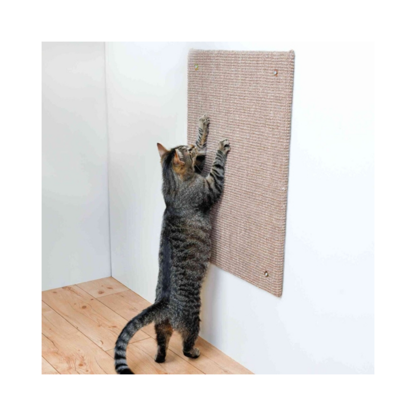 Trixie Kratzbrett XXL – Schutz & Kratzspaß für Ihre Katze