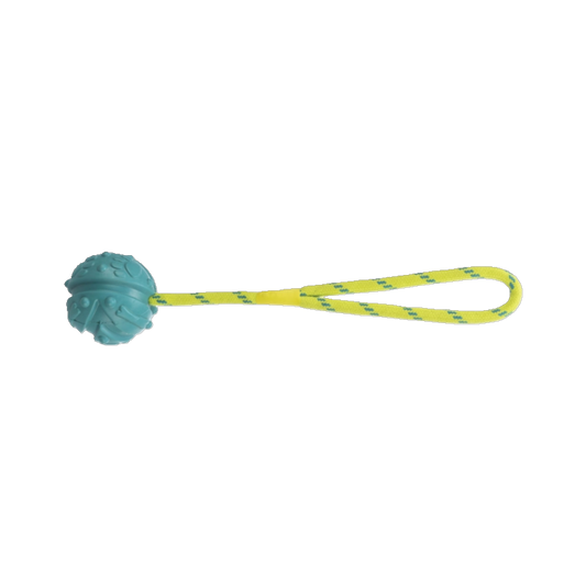 Trixie Naturgummiball am Band – Schwimmspaß & Apportierfreude für aktive Hunde
