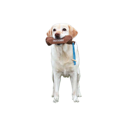 Trixie Preydummy - Canvas