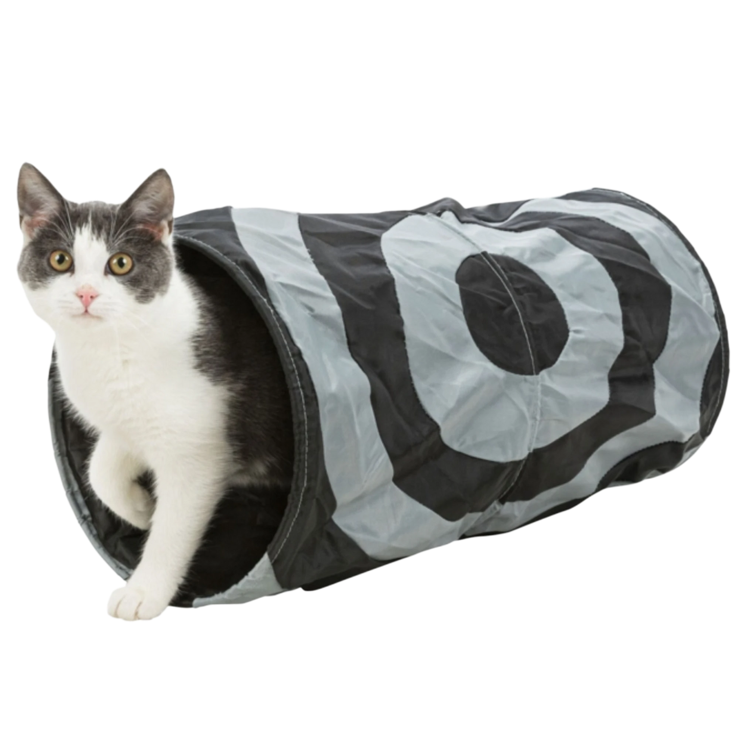 Trixie Rascheltunnel Crunch – 50 cm – Der ultimative Spielspaß für Ihre Katze und Welpen