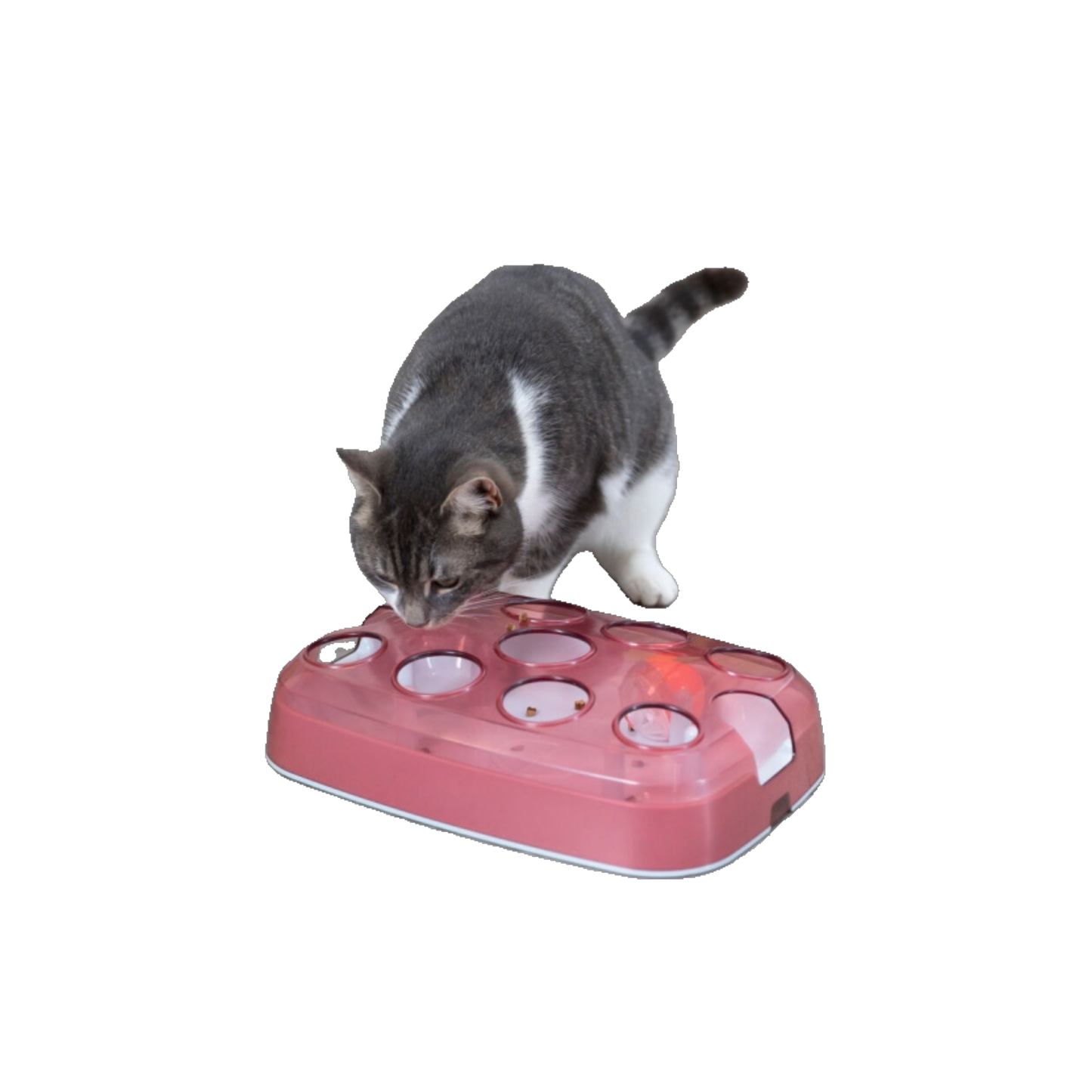 Trixie Spielkasten mit Snackball für Katzen – Interaktives Trainingsspielzeug