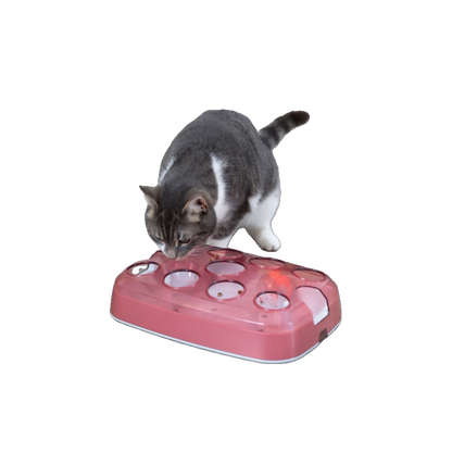Trixie Spielkasten mit Snackball für Katzen – Interaktives Trainingsspielzeug