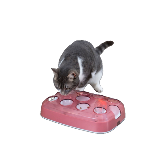 Trixie Spielkasten mit Snackball für Katzen – Interaktives Trainingsspielzeug