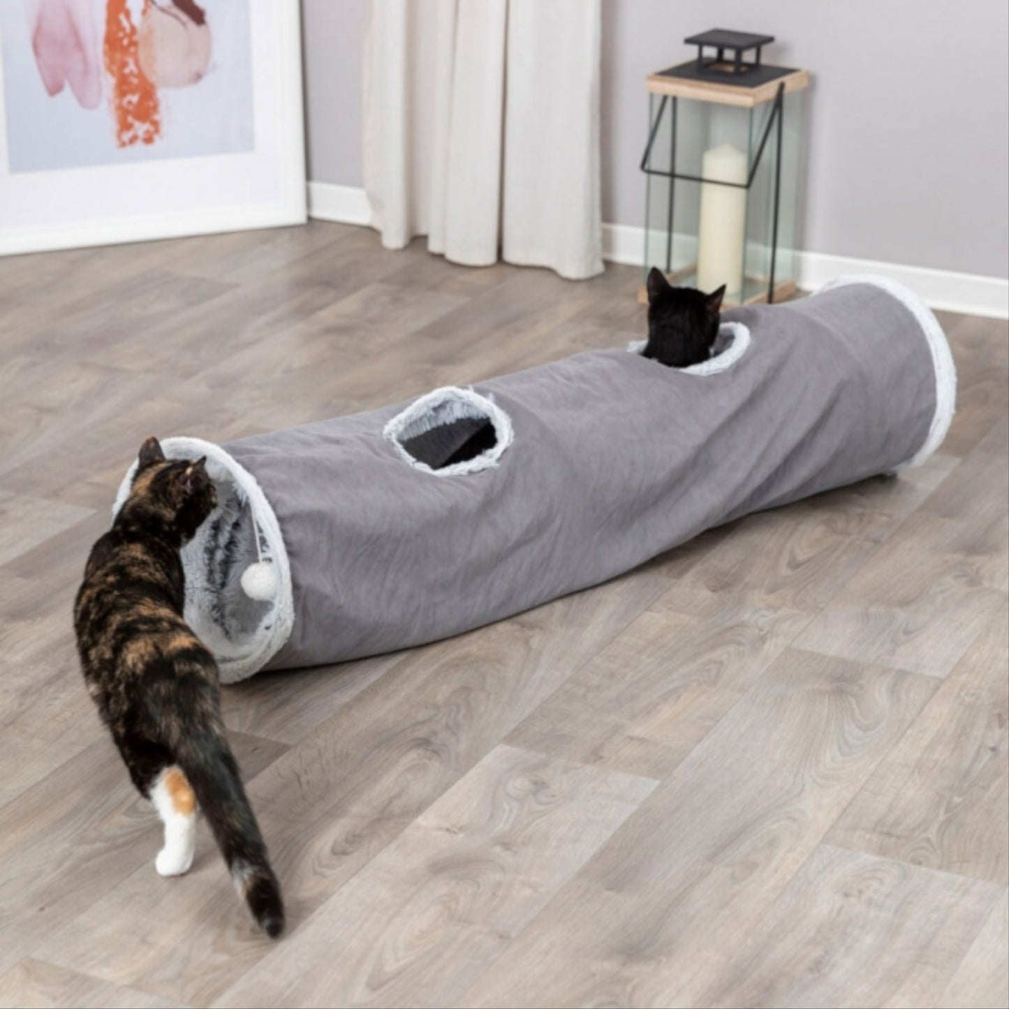 Trixie Spieltunnel Harvey – Das Abenteuer für Ihre Katze