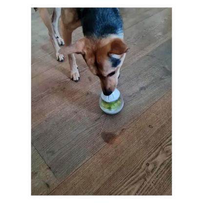 Trixie Steh-Auf-Snack-Ei - Futterspielzeug mit herausnehmbaren Platten – Fördert die Intelligenz deines Hundes und deiner Katze