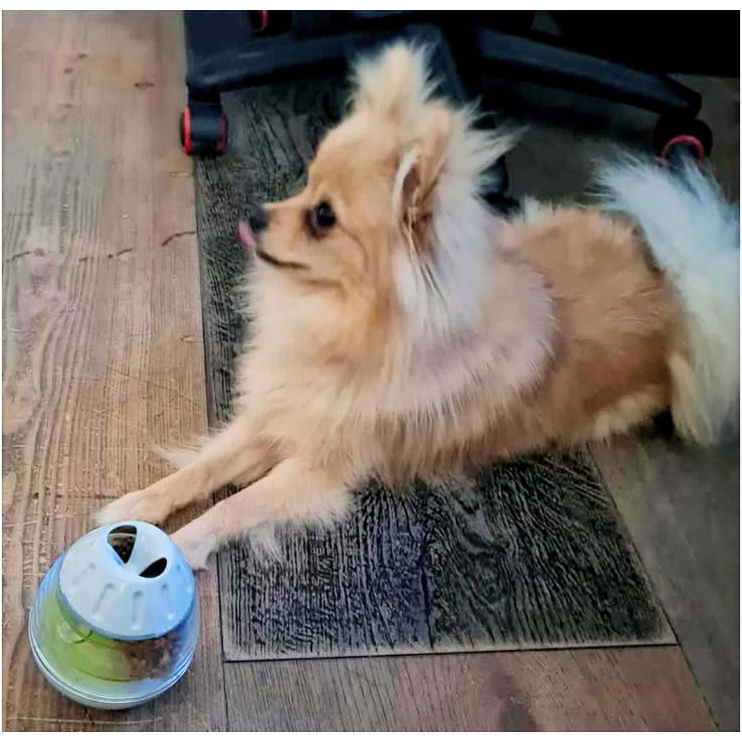 Trixie Steh-Auf-Snack-Ei - Futterspielzeug mit herausnehmbaren Platten – Fördert die Intelligenz deines Hundes und deiner Katze